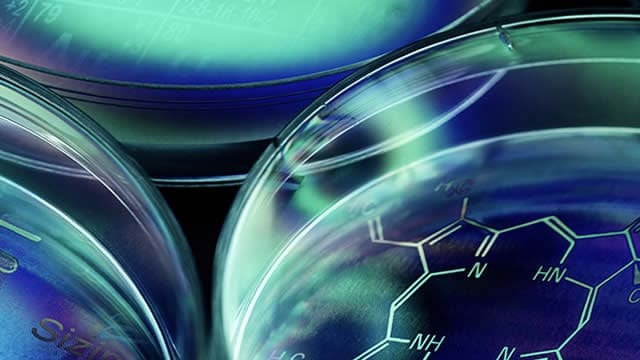 Why Aldeyra Therapeutics Could Be a Smart Speculative Bet Despite the Recent CRL Setback
